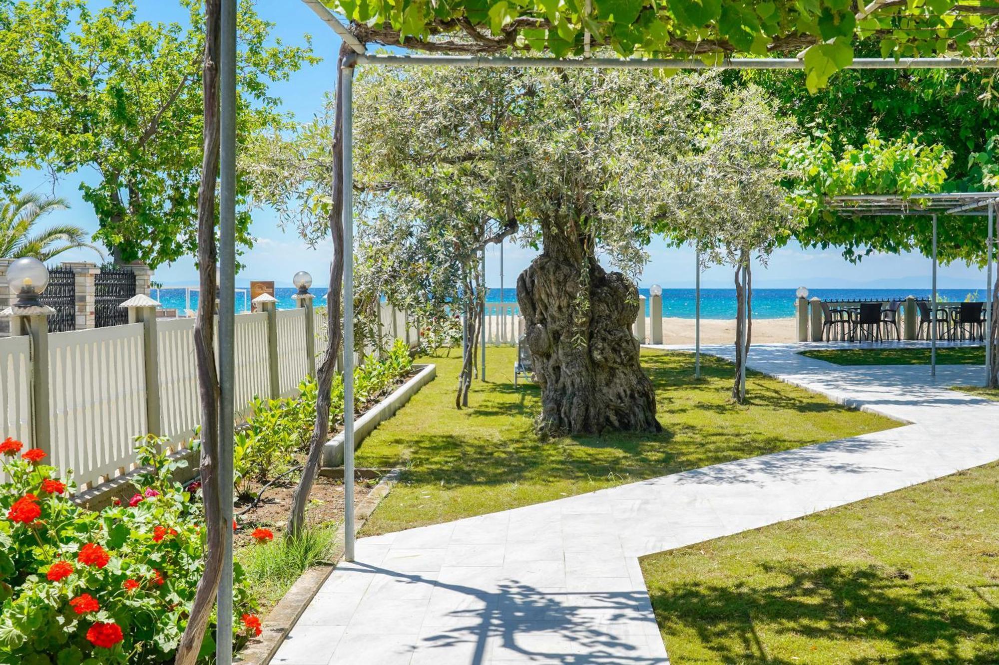 Olivento Beach Front Suites Потос Екстериор снимка